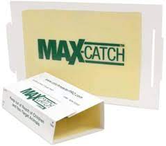MAX CATCH PIÈGE SOURIS